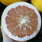 Chandler Pummelo Budwood citrus plant material online shopping