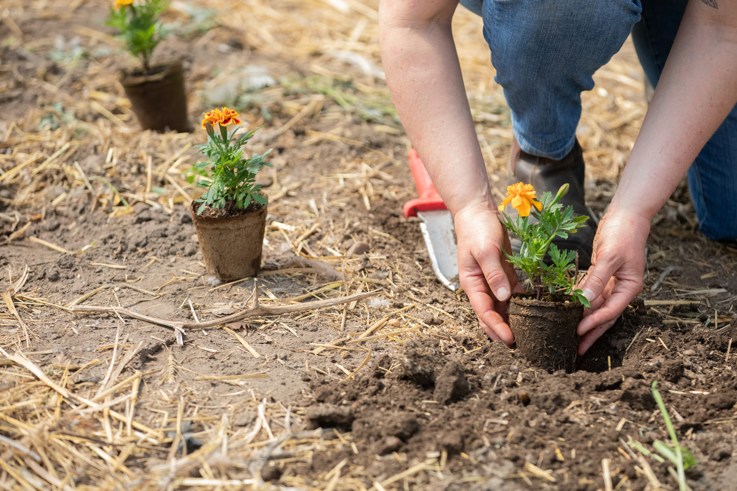CowPot #3 Round Plantable Pot