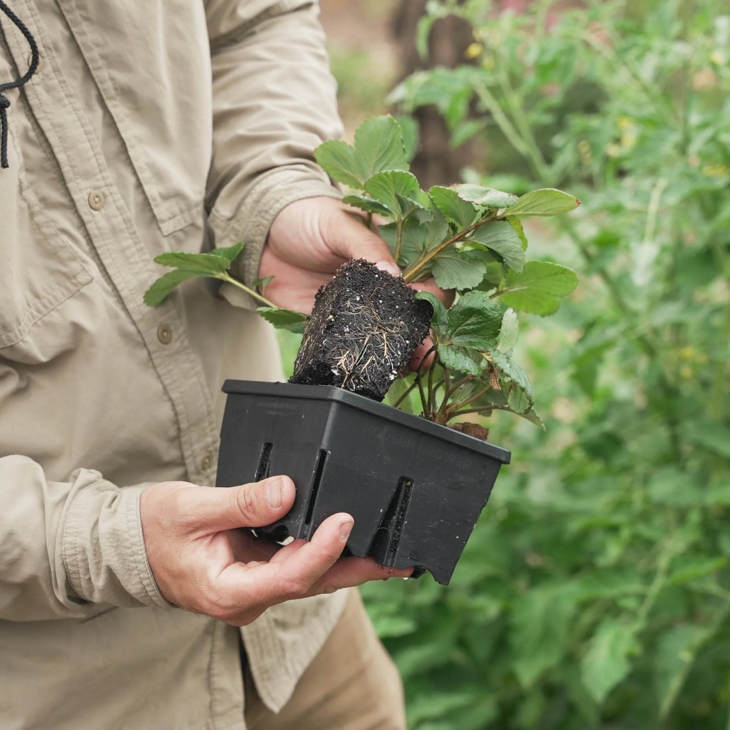 Epic Gardening Reusable Seed Trays