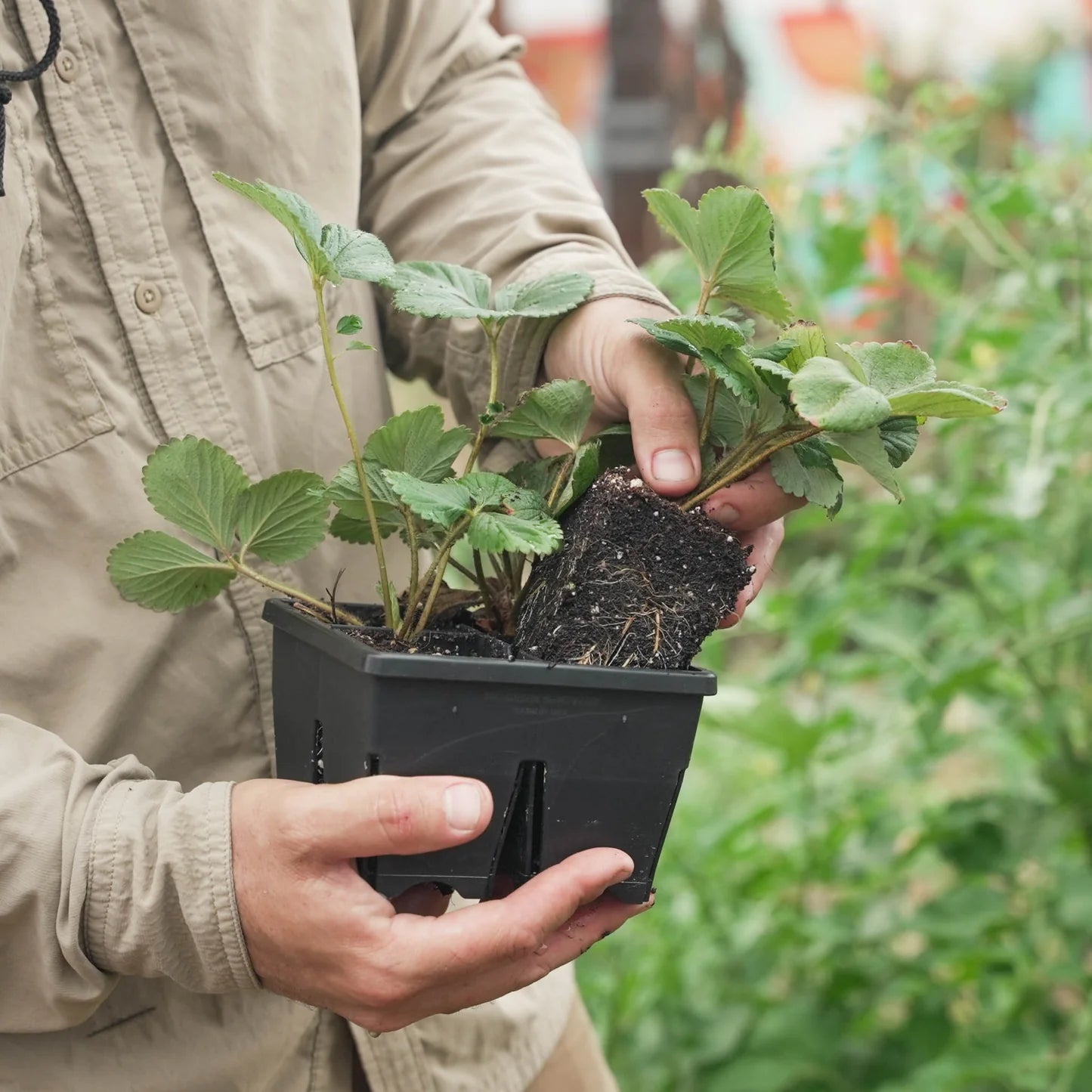 Epic Gardening Reusable Seed Trays