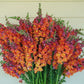 Potomac Dark Orange F1 Snapdragon Seeds online shopping