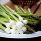Scallion Onion Sets