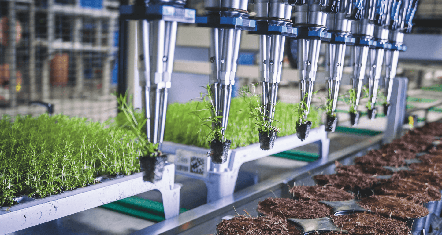 Viscon Pic O Mat Greenline Transplanter