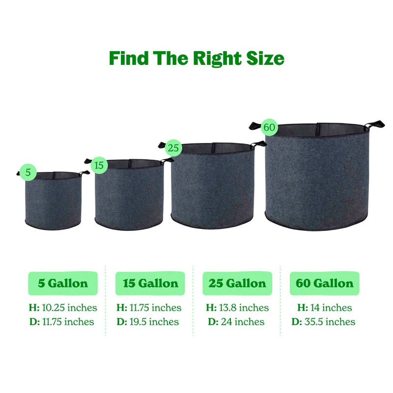 Felt plant grow bags with irrigation line holders.