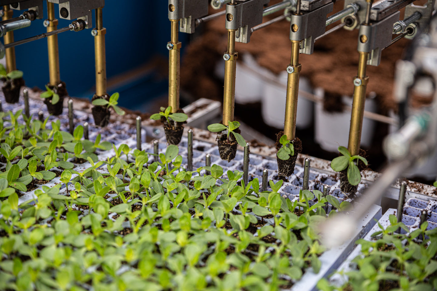 TTA ISO MidiCurve Pot Filler Plug Planter