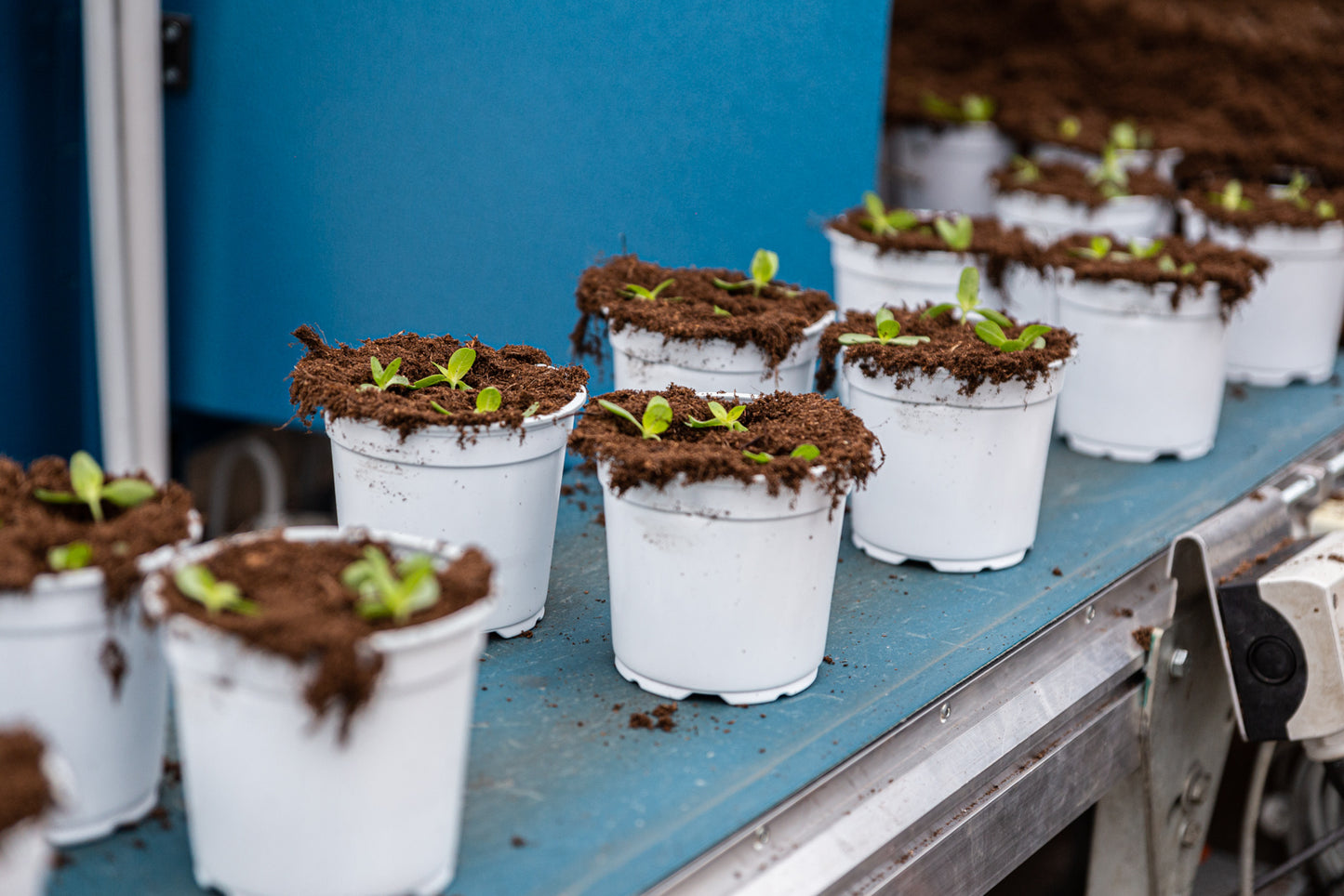 TTA ISO MidiCurve Pot Filler Plug Planter