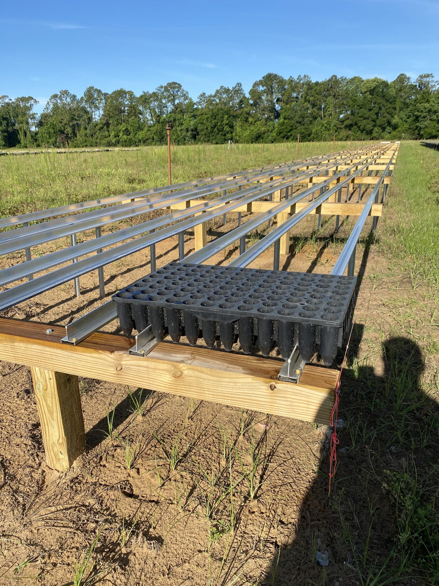 Forestry Trays