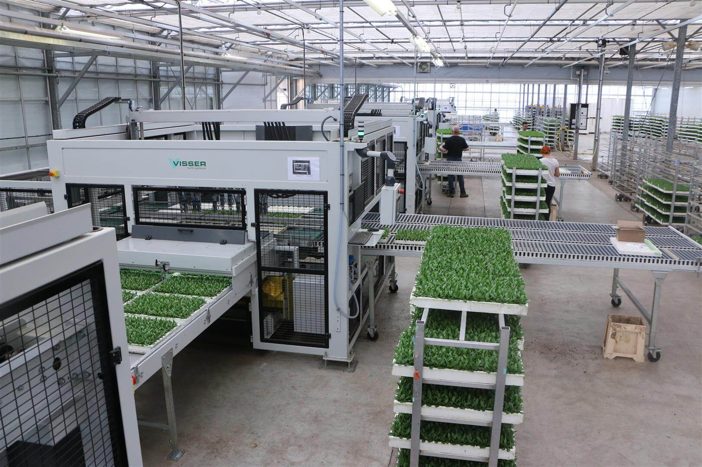 Viscon Select O Mat Grader Machine