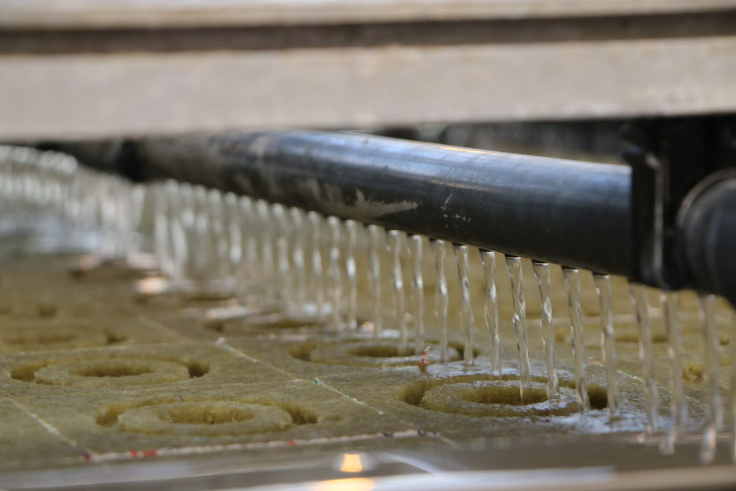 Viscon Watering and Covering Line