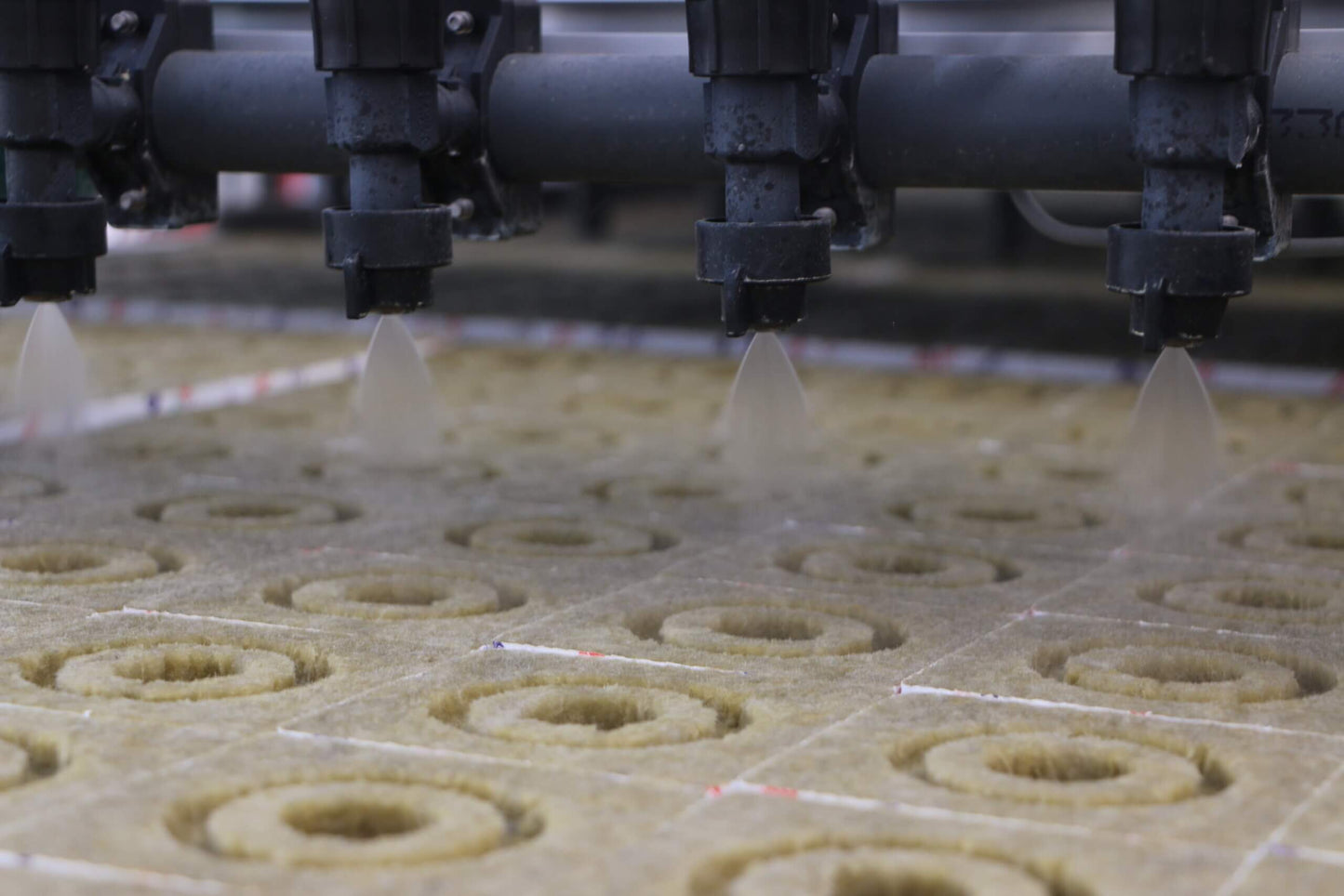 Viscon Watering and Covering Line