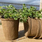 CowPot #4 Tall Round Plantable Pot