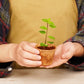 PlantBest Coconut Coir Grow Pots receptacles online shopping