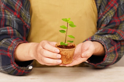 PlantBest Coconut Coir Grow Pots
