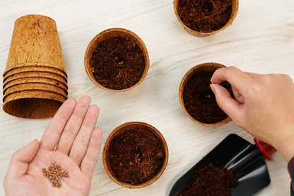 PlantBest Coconut Coir Grow Pots receptacles online shopping