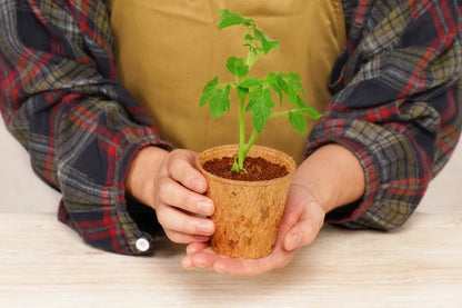 PlantBest Coconut Coir Grow Pots receptacles online shopping