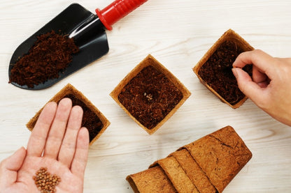 PlantBest Coconut Coir Grow Pots receptacles online shopping