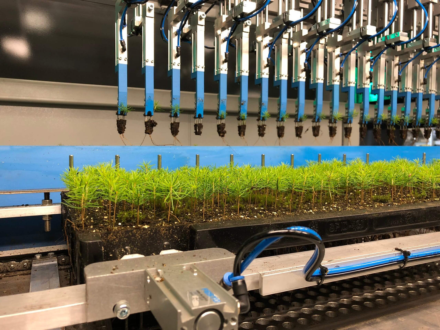 Viscon Pic O Mat Vision Transplanter