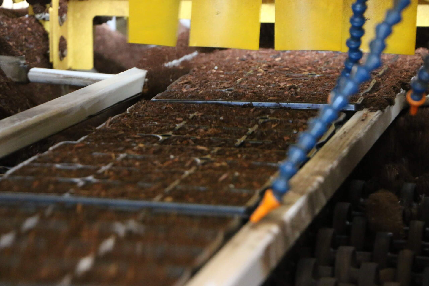 Viscon Versa Plug Tray Filler