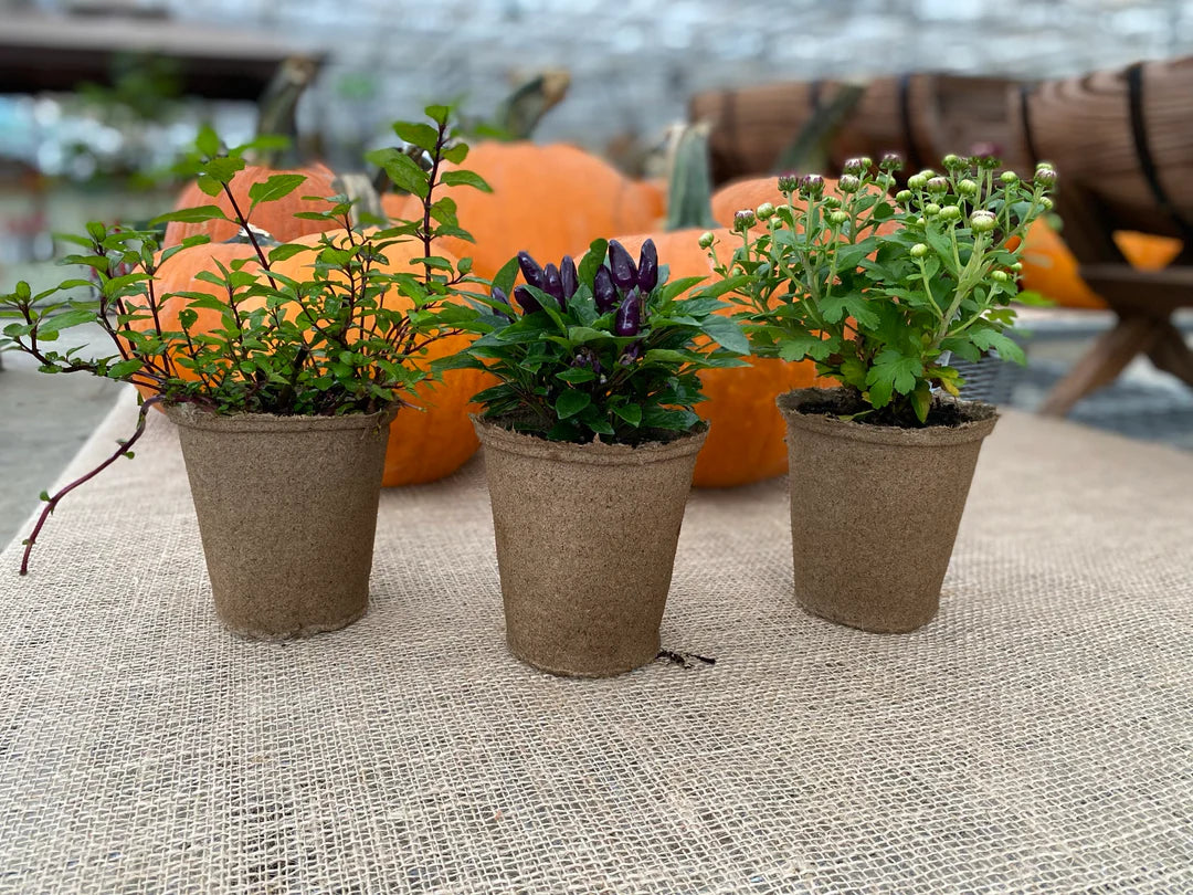 CowPot #4 Tall Round Plantable Pot