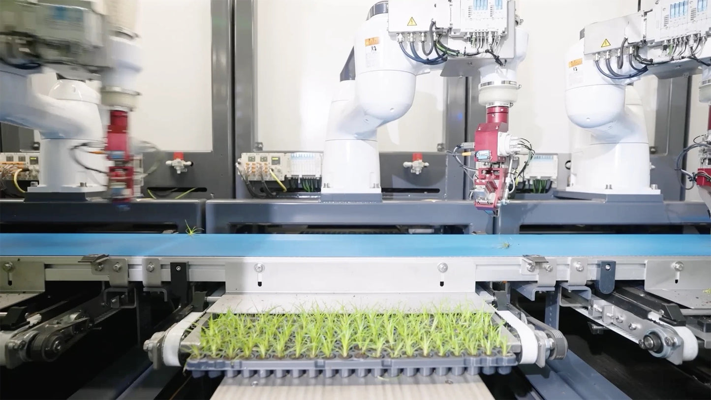 TTA ISO Sorter and Planter Cutting