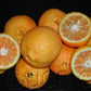 Kabosu Papeda Hybrid Budwood citrus plant material online shopping