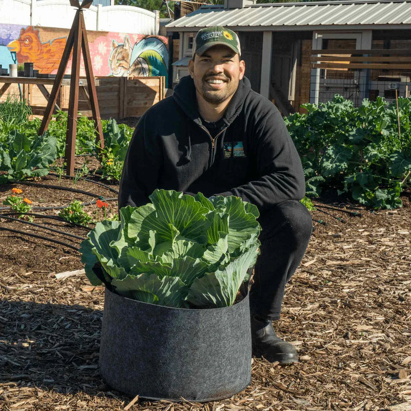 Felt plant grow bags with irrigation line holders.