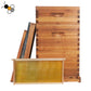 Langstroth Three Layer Beehive