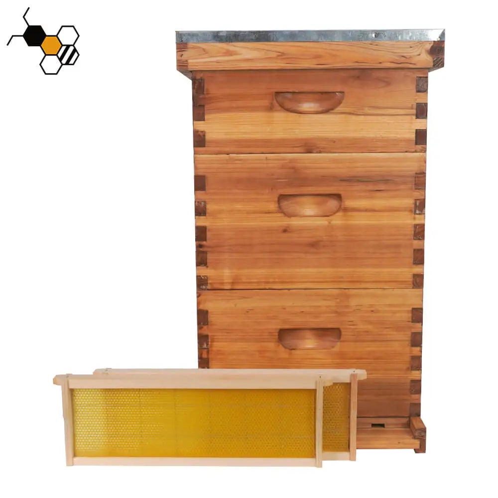 Langstroth Three Layer Beehive