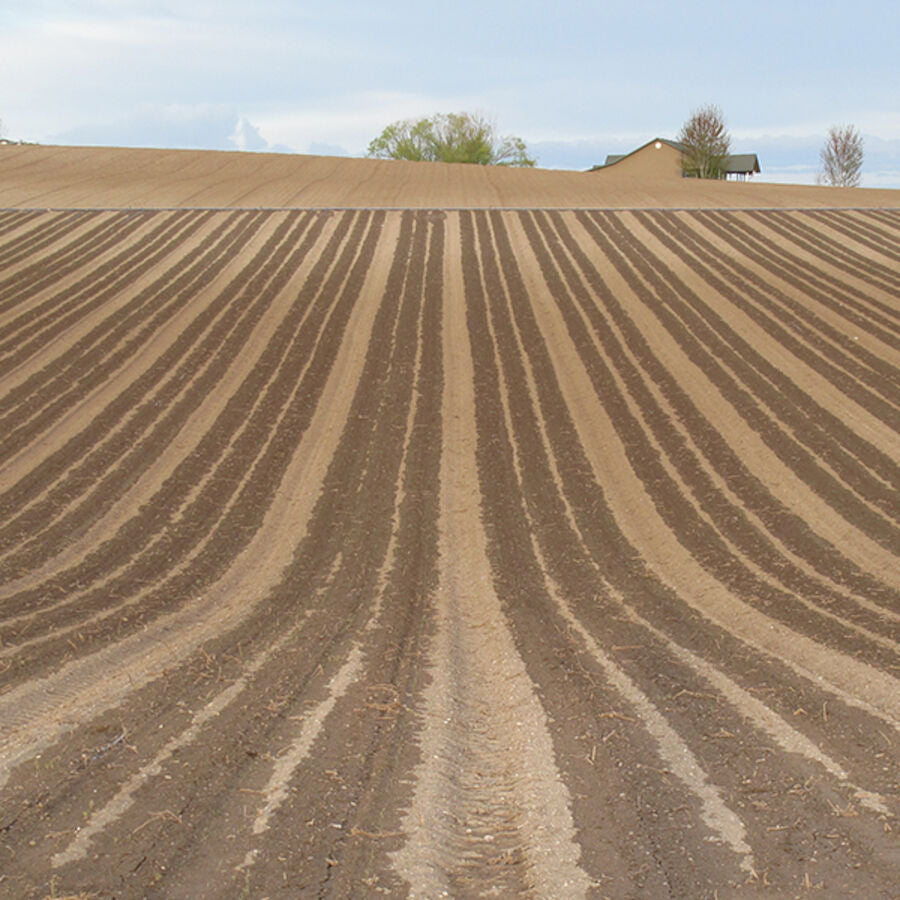 drip irrigation for hilly fields