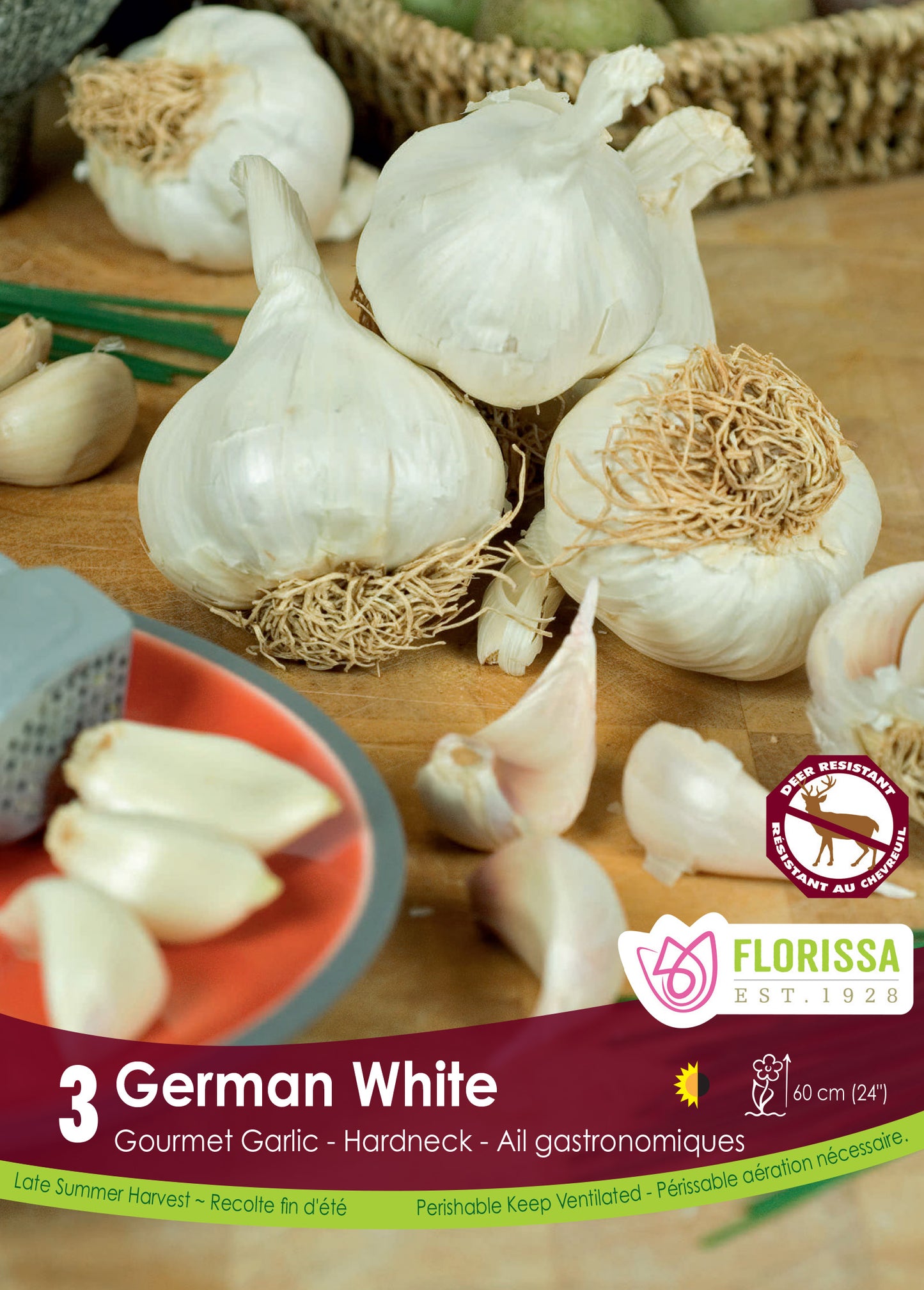 German White Hardneck Garlic Bulbs