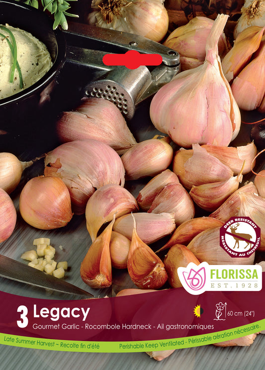 Legacy Garlic Bulbs