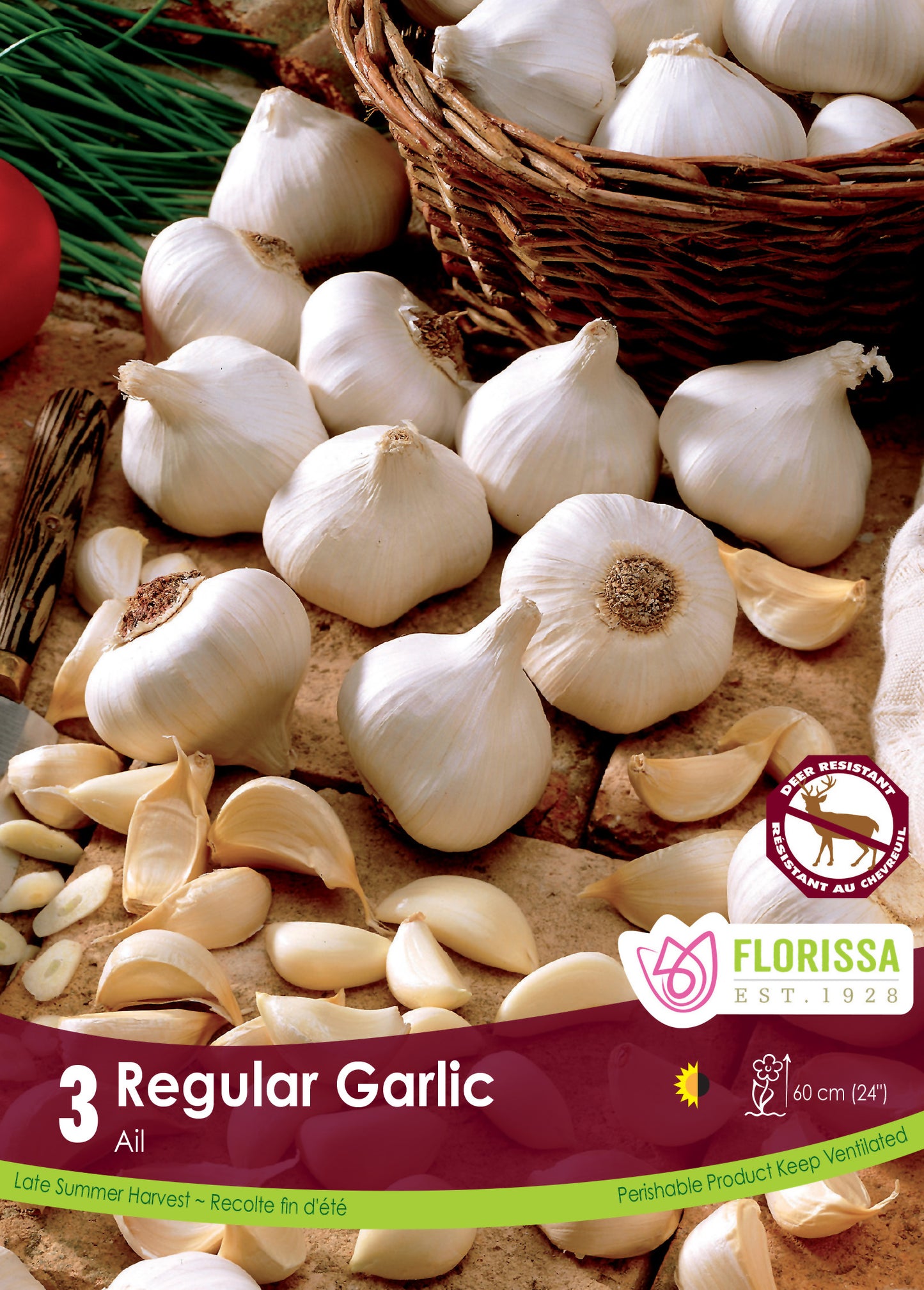 Regular White Garlic Bulbs