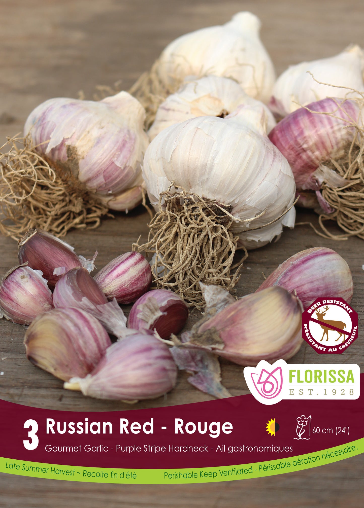 Russian Red Garlic Bulbs