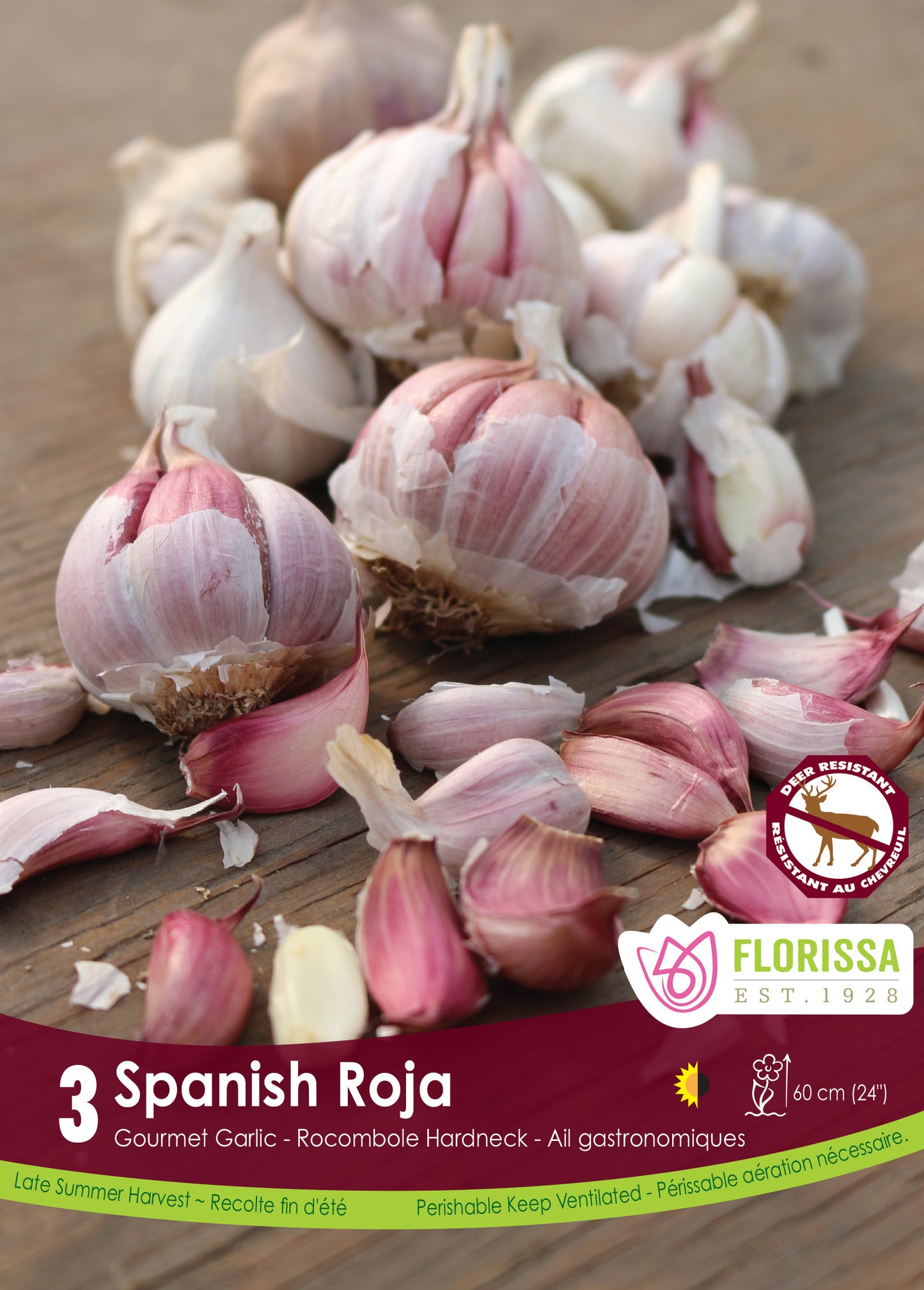 Spanish Roja Garlic Bulbs