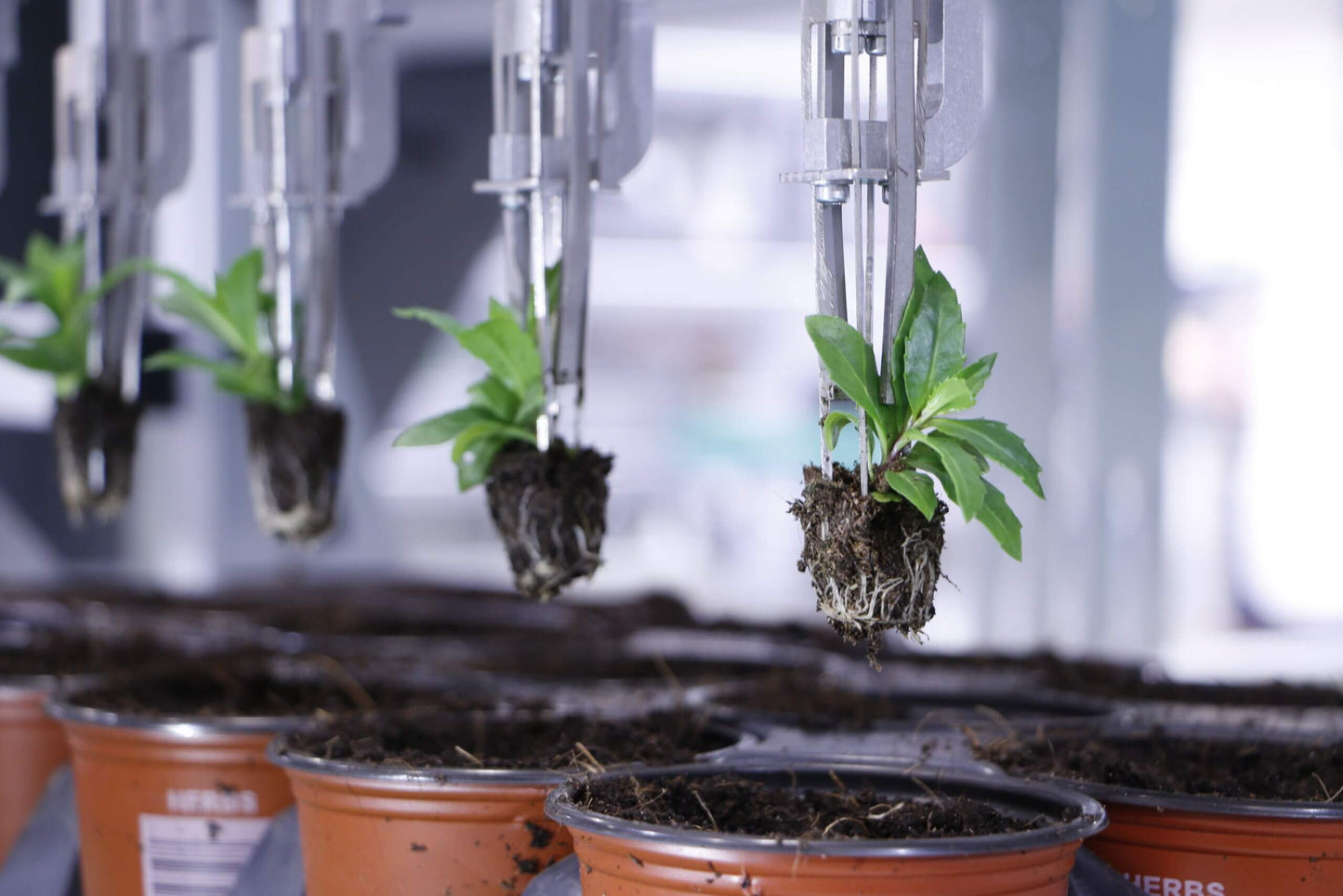 Viscon Pic O Mat Blueline Transplanter