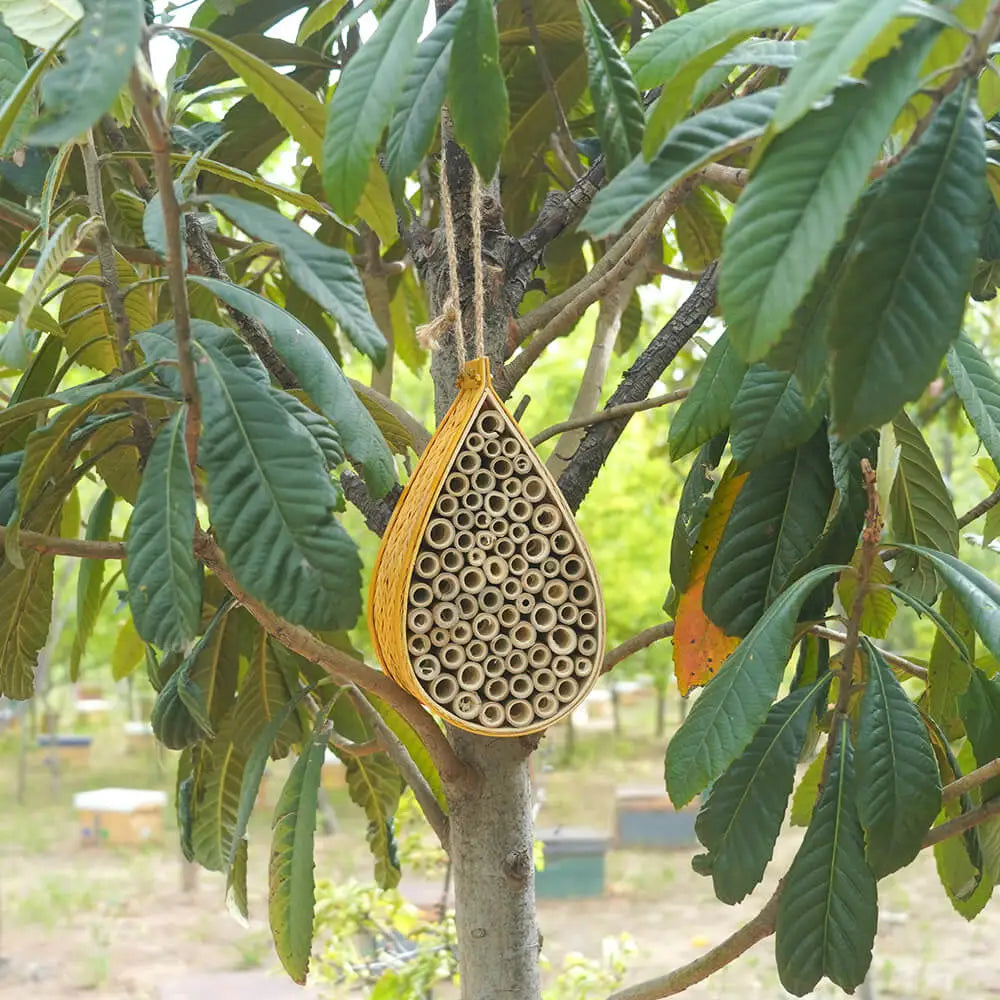 Mason Bee House