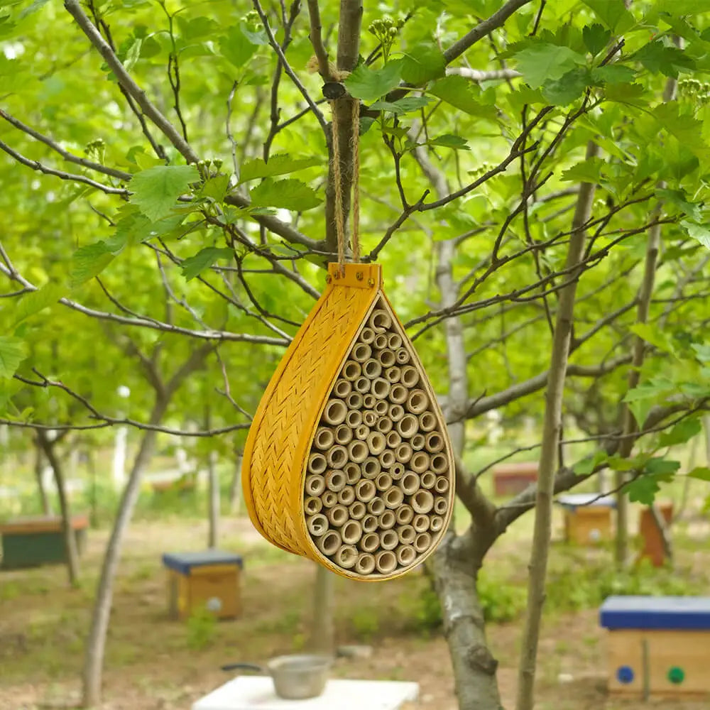 Mason Bee House