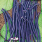 Velour Bush Bean Seeds online shopping