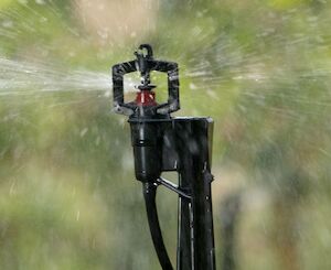 Toro Irrigation Pressure Compensating Micro Sprinkler Irrigation online shopping