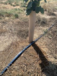 Toro BlueLine® PC Pressure Compensating Dripline 0.42 gph, 60 cm Spaced Emitters