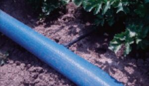 Toro Sunflow Blue Layflat Hose 8.0''