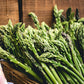 Guelph Millennium F1 Asparagus Seeds online shopping