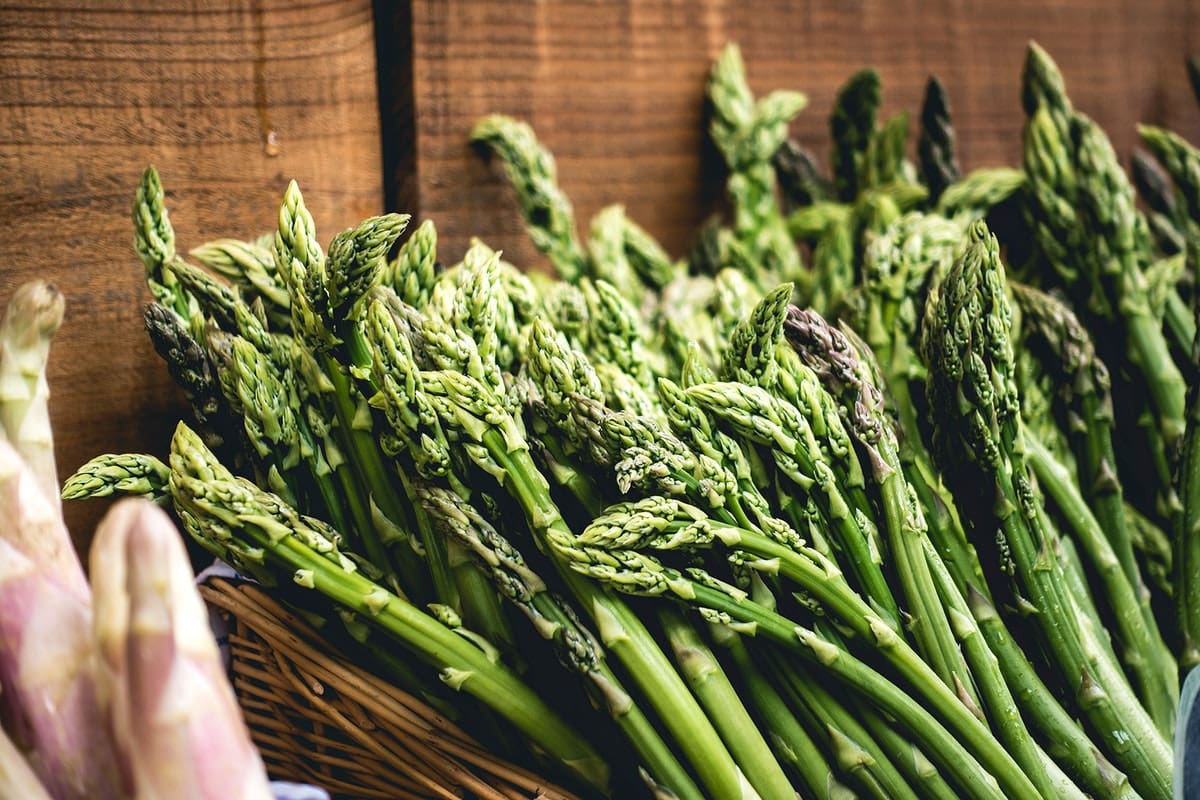 Guelph Millennium F1 Asparagus Seeds online shopping