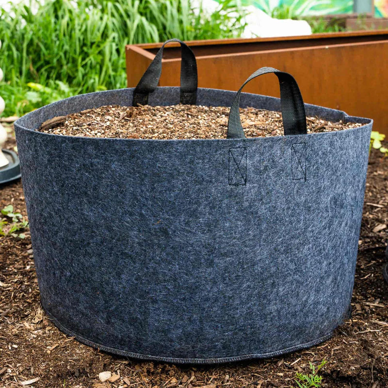 Felt plant grow bags with irrigation line holders.
