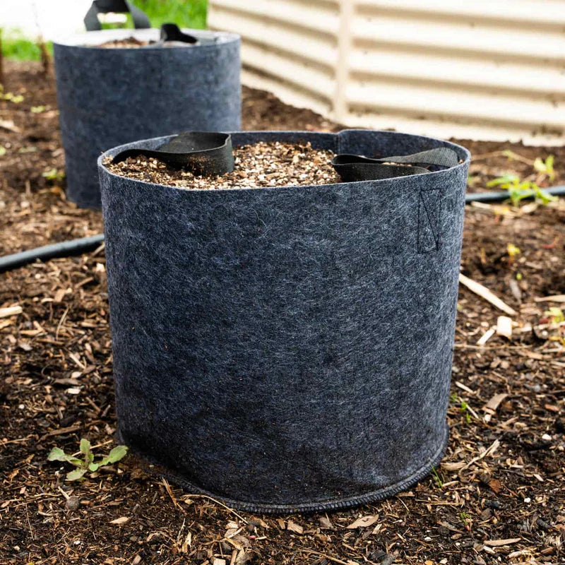 Felt plant grow bags with irrigation line holders.