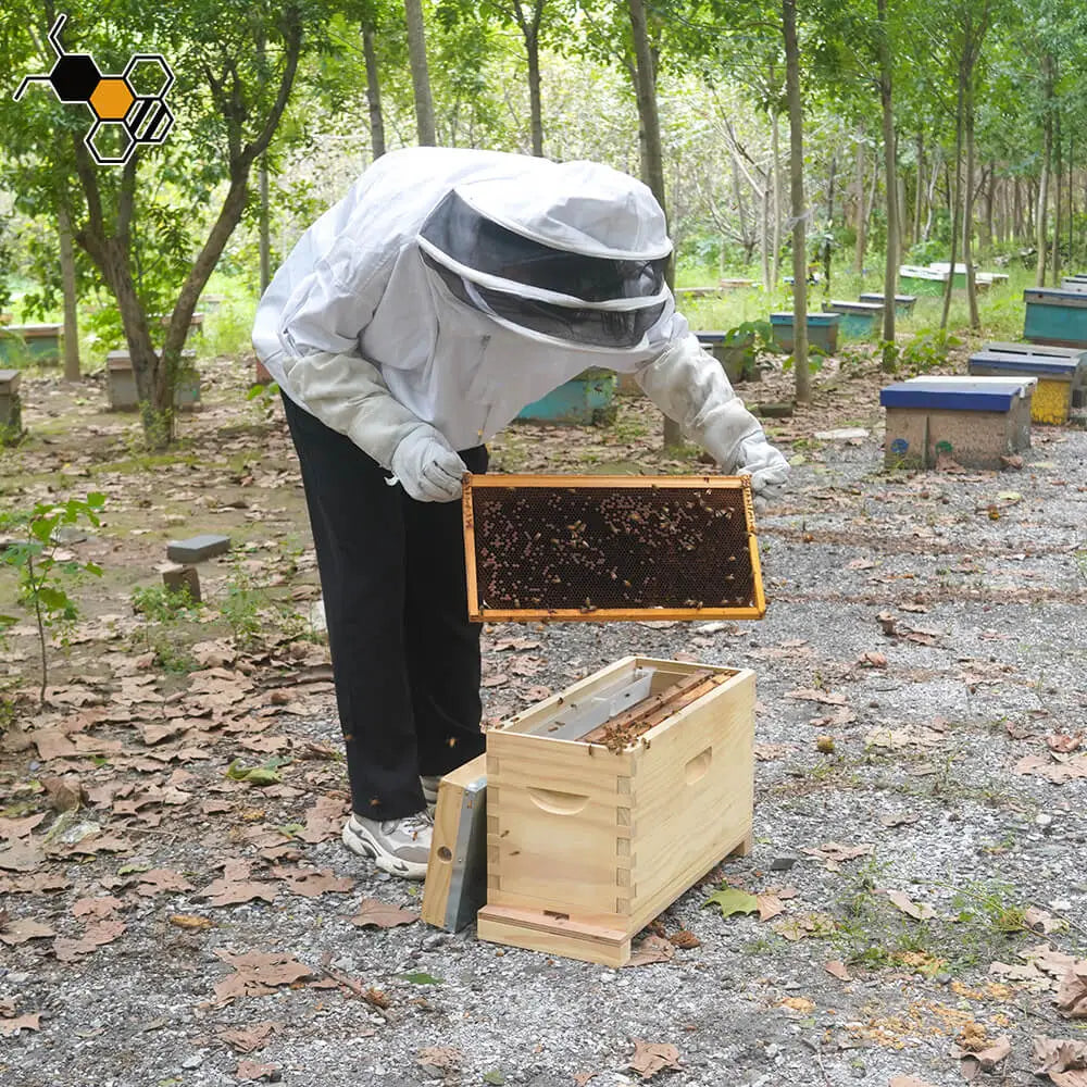 Australian Technique Wooden Nuc Box