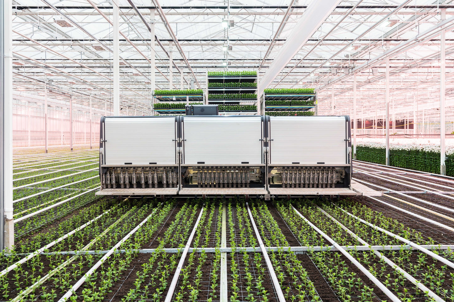 TTA ISO Robot Plug Planter