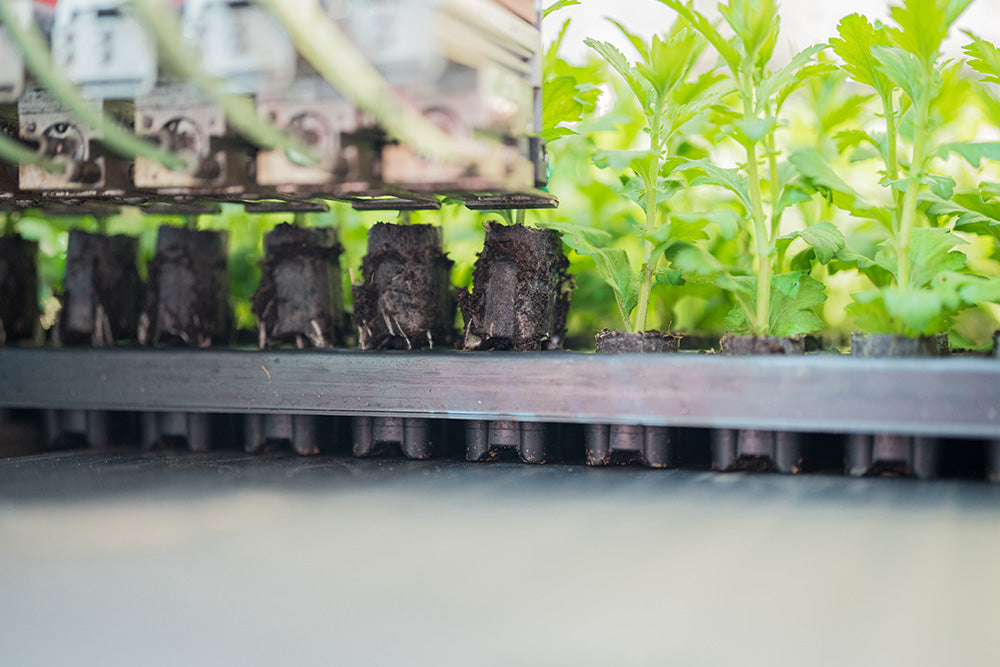 TTA ISO Robot Plug Planter