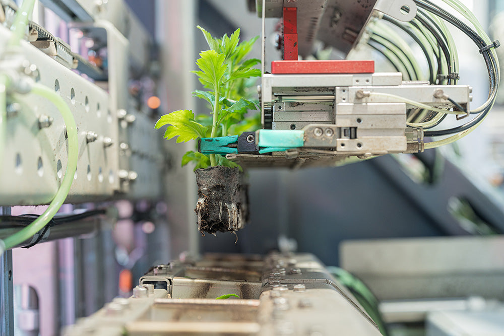 Robot arm with gripper holding a small plant in a controlled environment