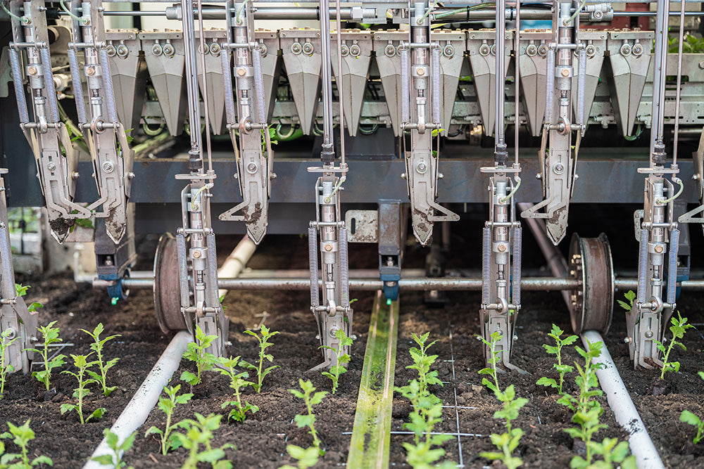 TTA ISO Robot Plug Planter